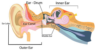 Ear Surgery